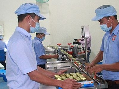 Hoạt động sản xuất kinh doanh chính của công ty là chế biến các sản phẩm nước yến sào Khánh Hòa đóng lọ mang thương hiệu Sanest