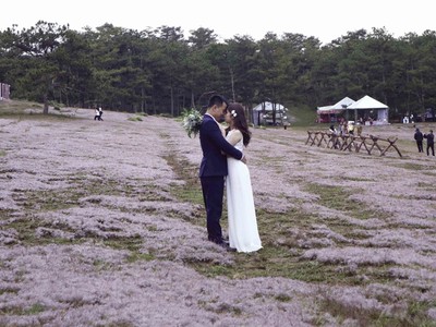 Đà Lạt vào mùa cỏ hồng ngày chớm đông