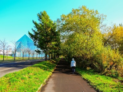 Mùa thu ở Hokkaido qua ống kính du khách Việt