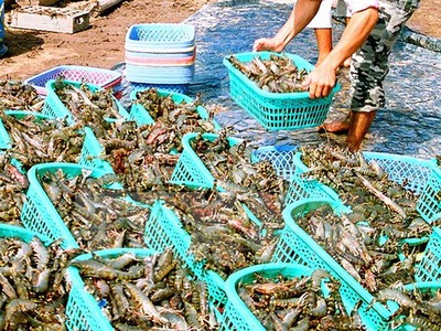 Xóa tình trạng quy hoạch lập liên tục, thay liên tục khiến doanh nghiệp trở tay không kịp