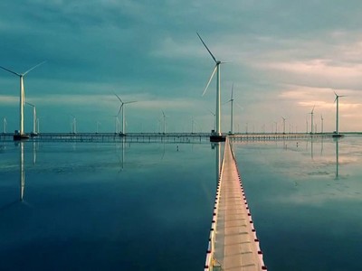 Cánh đồng quạt gió như ở trời Âu ngay gần Sài Gòn