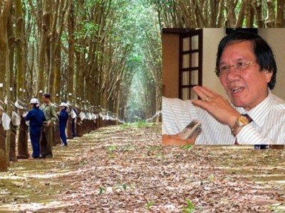 Cựu lãnh đạo bị khởi tố, Cao su Đồng Nai hủy thương vụ đấu giá chục tỷ