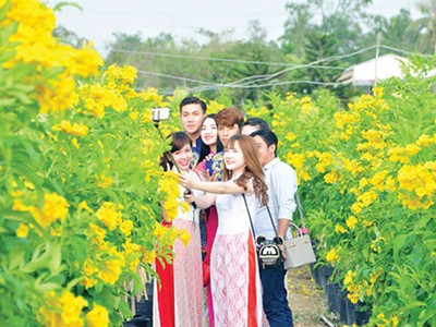 Đà Lạt là một trong những điểm hút khách dịp Tết. Ảnh minh hoạ: Vietffuntravel