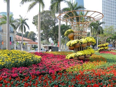 Đà Nẵng: Đường hoa “Xuân sắc màu” và 3 điểm bắn pháo hoa phục vụ Tết