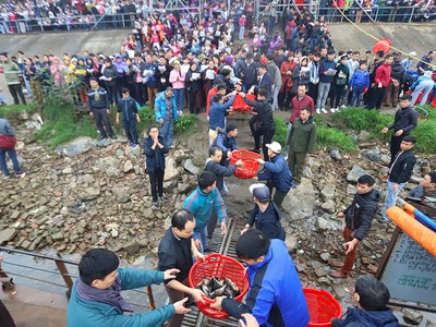 Cả vạn người chuyền tay, phóng sinh hơn 5 tấn cá ở Hà Nội