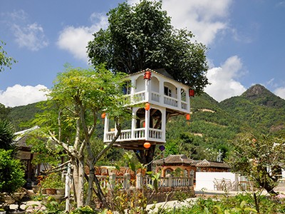 Căn nhà hai tầng trên cây thị gần 100 tuổi ở Nha Trang