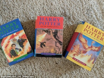 Hayley không biết rằng mình đã vừa mua được những cuốn sách hiếm cho tới khi cô trở về nhà và xem kỹ lại những cuốn sách.