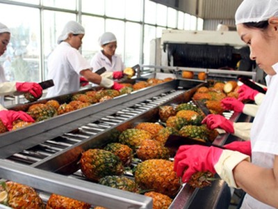 Từ 1/4: Thêm điều kiện khi xuất hoa quả sang Quảng Tây