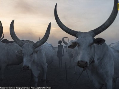 Những bức ảnh tuyệt đẹp trong giải thưởng ảnh du lịch của National Geographic 2018