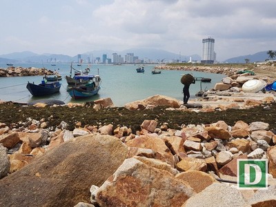 Dự án Nha Trang Sao (TP Nha Trang) từng bị xử phạt vì lấp danh thắng quốc gia Vịnh Nha Trang