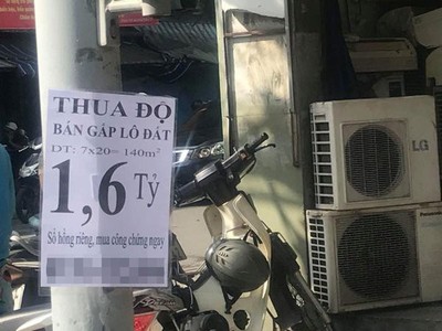 Chiêu trò của cò đất.