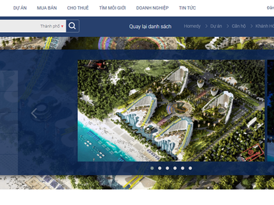 (Giao diện trang web Homedy.com).