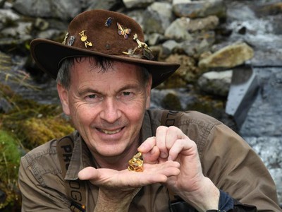 Chuyên gia về vàng, ông Leon Kirk đang kiểm tra quặng vàng khổng lồ mà ông nghĩ trị giá khoảng 50.000 bảng Anh. (Nguồn: PAUL JACOBS / PICTUREEXCLUSIVE.COM).