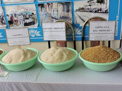 Xuất khẩu gạo tăng gần 30% về giá trị so với cùng kỳ 2017 - Ảnh: VGP/Đỗ Hương.