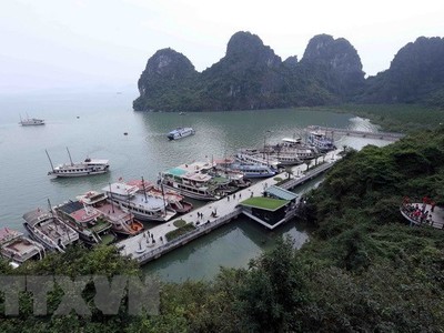 Khu neo đậu tàu du lịch vào hang Đầu Gỗ. (Ảnh: Quang Quyết/TTXVN)