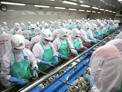 MPC muốn tăng vốn lên 2.157 tỷ đồng