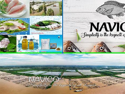 Nam Việt (ANV): 9 tháng vượt 16% kế hoạch lợi nhuận cả năm