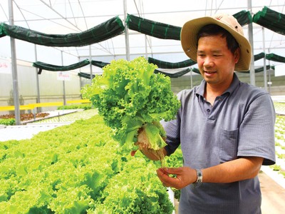 Những doanh nhân của tương lai nước Việt
