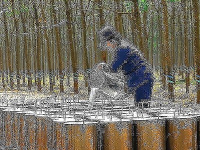 Cao su Đồng Phú (DPR) gần hoàn thành kế hoạch lợi nhuận 2018