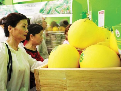 Nông nghiệp Quốc tế Hoàng Anh Gia Lai (HNG) xin giảm diện tích trồng cây ăn trái