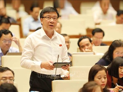 Đại biểu Quốc hội tỉnh Hải Dương Phạm Xuân Thăng phát biểu.