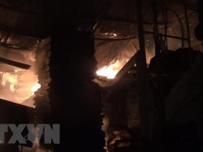 (Ảnh minh họa: Huyền Trang/TTXVN)