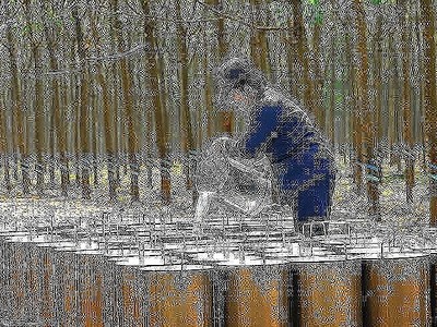 Cao su Đồng Phú (DPR) chốt phương án trả cổ tức 40% bằng tiền