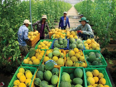 Doanh nghiệp mạnh tay đầu tư cho phát triển bền vững