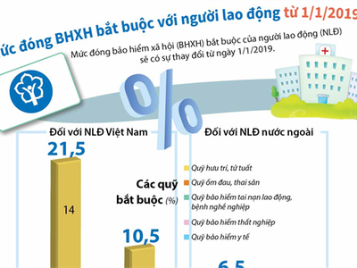 [Infographic] Mức đóng BHXH bắt buộc với người lao động từ 1/1/2019