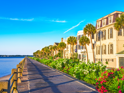 Tìm về không gian sống xanh tại thành phố biển Hạ Long