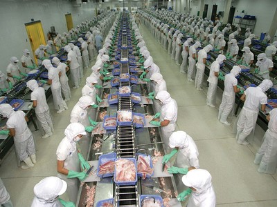 Ông Trương Đình Hòe, Tổng thư ký Hiệp hội Chế biến và xuất khẩu thủy sản Việt Nam (VASEP) cho biết, dù có những thuận lợi và khó khăn, nhưng nhìn chung ngành thủy sản đã có một năm tương đối khởi sắc khi nhiều doanh nghiệp ghi nhận hiệu quả kinh doanh tăng trưởng mạnh. Đặc biệt, hoạt động xuất khẩu của Việt Nam đang có những chuyển biến tốt và kim ngạch ngành thủy sản trong năm 2018 ước đạt trên 9 tỷ USD.