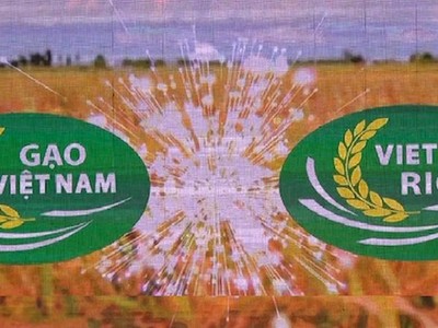 [Infographics] Sắp công bố Logo thương hiệu quốc gia gạo Việt Nam
