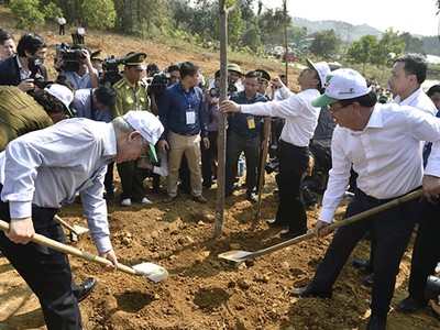 Tổng bí thư, Chủ tịch nước Nguyễn Phú Trọng phát động Tết trồng cây 2019. Ảnh: VGP.