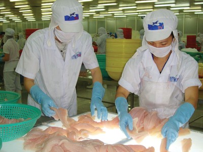 Niên độ 2018 - 2019, HVG dự kiến đạt lợi nhuận trước thuế hợp nhất 100 tỷ đồng.