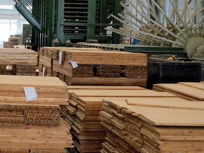 Nhà máy chế biến gỗ của SJF.