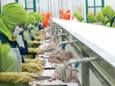 Chi phí đầu vào tăng nhẹ, doanh nghiệp chưa chịu áp lực tăng giá