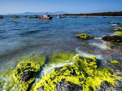 Tháng 3, khám phá mùa rêu Bàn Than