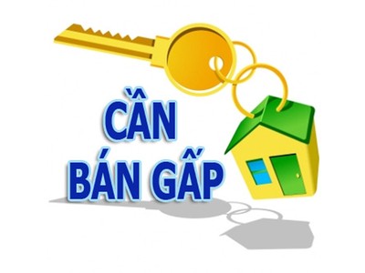 Các thông tin rao bán nhà được nhiều người quan tâm nhưng chủ yếu đến từ phía môi giới.