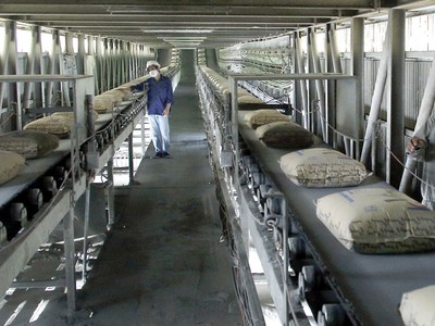 2019, nhu cầu xi măng dự báo tăng 6-8%, hứa hẹn giúp doanh nghiệp ngành này gia tăng lợi nhuận.