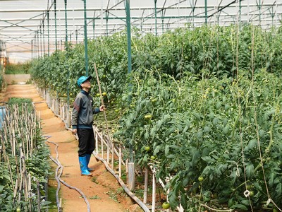 Doanh nghiệp nông nghiệp công nghệ cao khát vốn