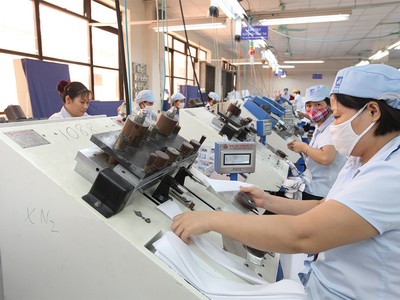 Quý I/2019, doanh thu Tập đoàn Dệt may Việt Nam (VGT) giảm mạnh, nhưng lợi nhuận tăng nhẹ