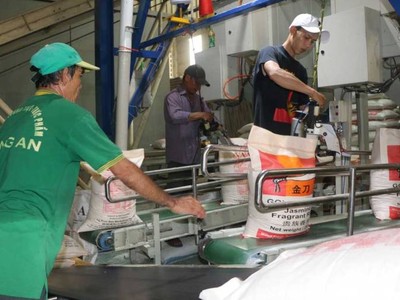 Giá gạo xuất khẩu trung bình 5 tháng đầu năm khoảng 427,5 USD/tấn, giảm khoảng 76,8 USD/tấn so với cùng kỳ năm 2018.