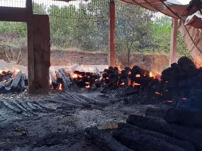 Số gỗ quý trong kho bị thiêu rụi gần như hoàn toàn.