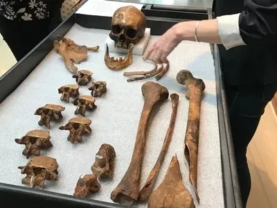 Bộ hài cốt được khai quật ở Connecticut tháng 11/1990. Ảnh: Washington Post.