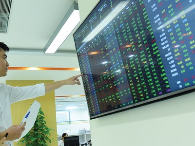 Tìm điểm sáng trong tương lai bấp bênh của thị trường