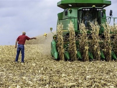 Nông dân thu hoạch ngô tại Hastings, bang Minnesota của Mỹ. (Ảnh: AFP/TTXVN).