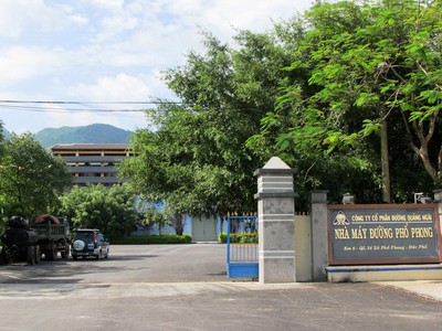 Đường Quảng Ngãi (QNS): Nhiều bài toán “đau đầu”