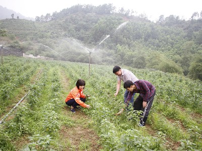 Đồng hành cùng người dân sản xuất nông nghiệp theo hướng bền vững.
