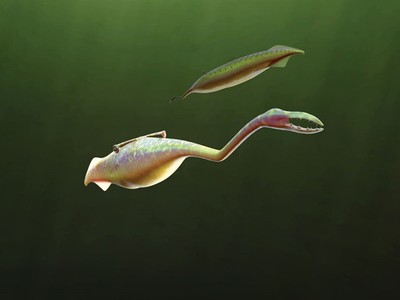 Đây được xem là chân dung của quái vật Tully.