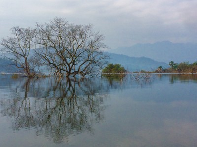 Vườn quốc gia Vũ Quang (Hà Tĩnh).